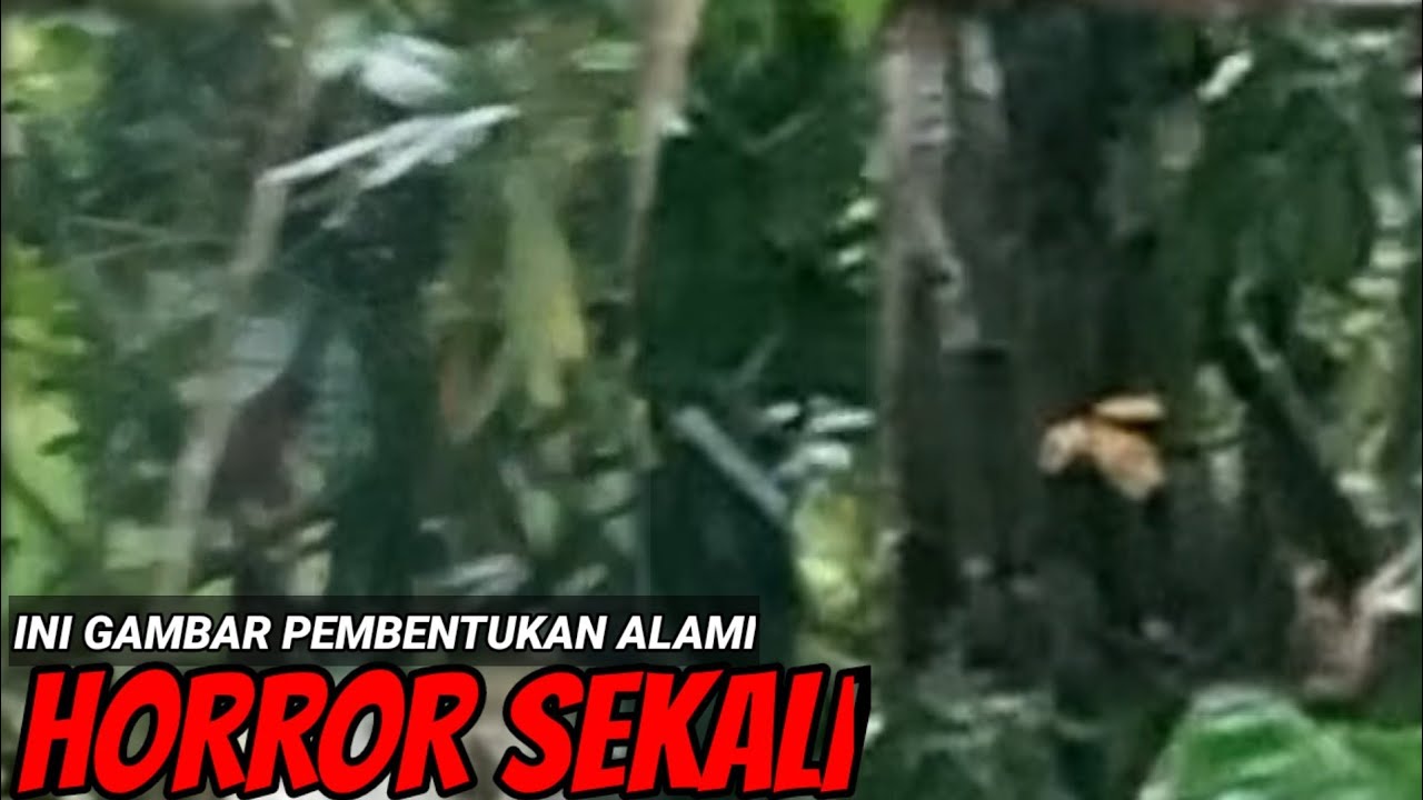 🔴Live HORROR Indonesia‼️Hantu Bayangan  Alami