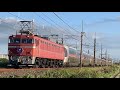 【撮り鉄乱入で緊急停車】周りは騒然！！カシオぺア紀行青森行き緊急停車！