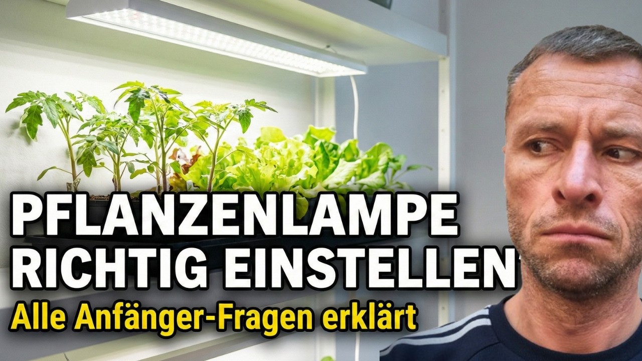 Pflanzenlampen richtig einstellen – alle Fragen für Einsteiger erklärt!