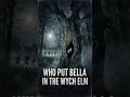 What Happened to Bella in the Wych Elm? #mystery #coldcase