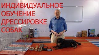 Как обучать собаку. Как найти дрессировщика собак Как обучать собаку. Как найти дрессировщика собак