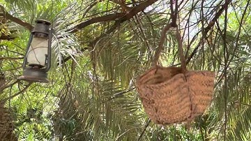 سورة فاطر بصوت القارئ عمر ضياء الدين