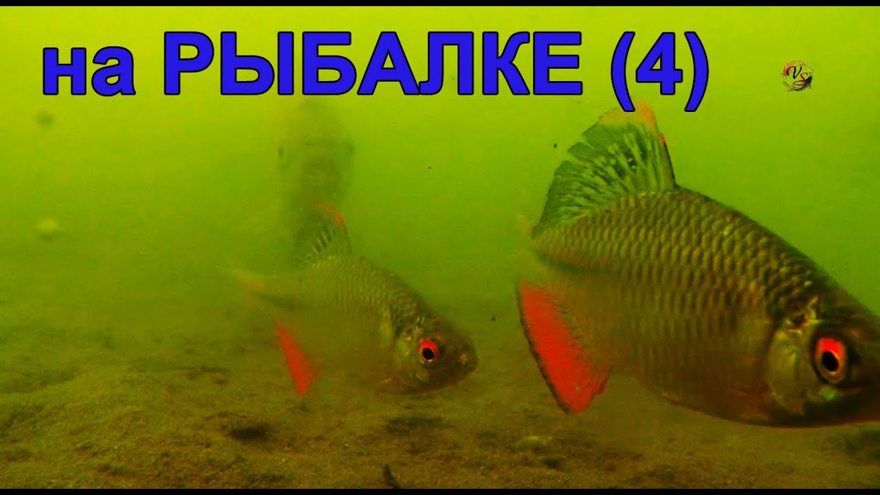 Рыбак с оки ютуб