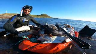 Download Lagu Spearfishing Bluff South Island New Zealand.... The Last Dive MP3