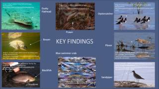 Haidee Cheesewright EDC 171 Assessment 3