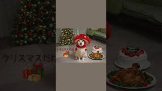 きのこ柴犬とあたたかいクリスマス #柴犬 #クリスマス #きのこいぬ
