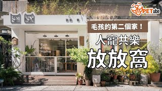 【編走編看】毛孩的第二個家!人寵共樂「放放窩」|#哈寵PETube 第176集