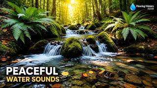 💧 Peaceful Water Sounds & Forest Stream for Deep Sleep, Relaxation, Study, and Meditation