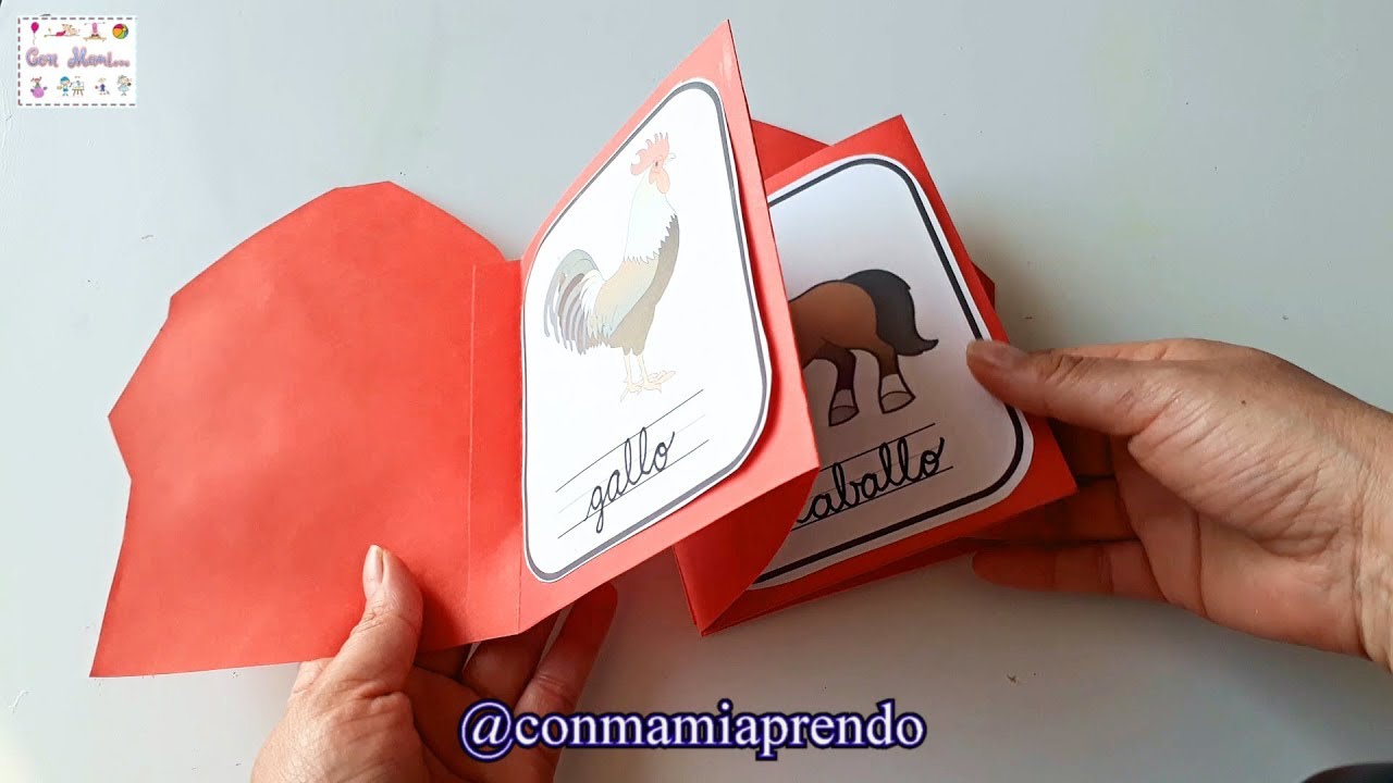 LIBRO ACORDEÓN DE 