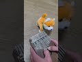 ちょっとこれ見てほしい