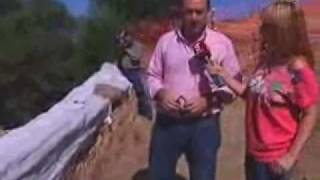 Tronco fósil de más de 300 millones de años aparace en Almadén de la Plata. UHU.