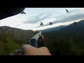 chasse pigeon en corse migration palombe 2016 (1)