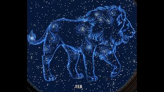 Hogwarts Legacy The Power Of Diffindo