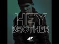 Avicii Hey Brother Dj S Double Smile Remix Psy Trance Version mp3