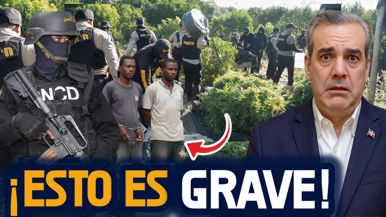 🚨¡Grave! ¡Un Dominicano y 2 haitianos con plantas mar1hu@na en Bani!