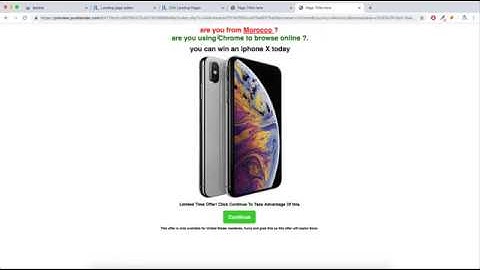 Pass And Caprture Tokens in the landing page using purelander