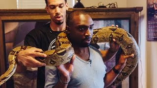 NBA Player Danny Green Invites Us Inside His Snake Enclosure | Random Fandom