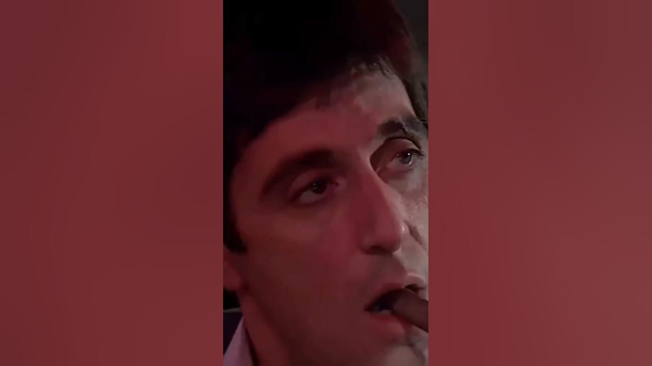 Scarface #song #newsong #lyrics #pyschologyfacts #hiphopmusic #bollyhop #music #rapmusic Scarface #song #newsong #lyrics #pyschologyfacts #hiphopmusic #bollyhop #music #rapmusic