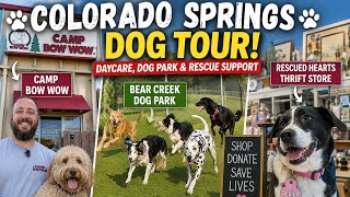 Doggy Day Care &  Dog Tour! 🐶 Camp Bow Wow, Bear Creek Dog Park & A Rescue That Gives Back