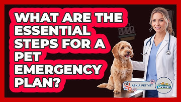 What Are The Essential Steps For a Pet Emergency Plan?