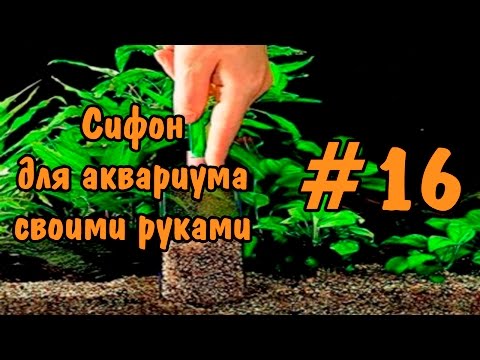 Сифон для аквариума своими руками