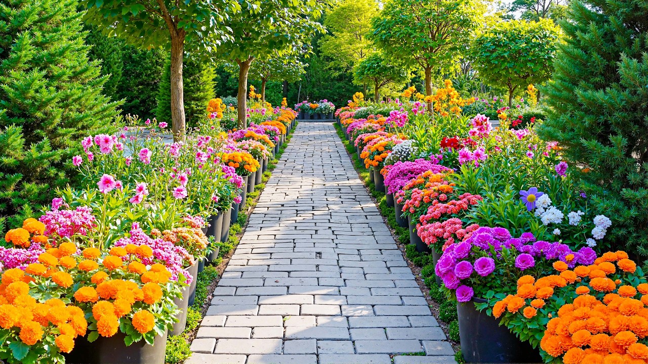 Красочная летняя садовая дорожка 🍃 Спокойная садовая тропинка, чтобы успокоить тревогу и избавить...