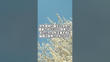 保守の定義が問われる