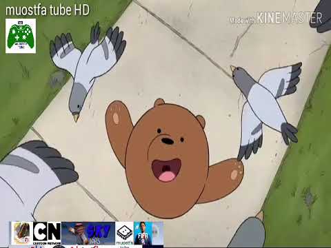 انتم أصدقائي الدببه الثلاثه