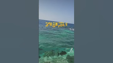 تلاوة خاشعة من سورة الأنبياء للشيخ محمد المحيسني