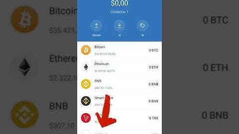 Payment Opened With Trust Wallet | #ttcoin |