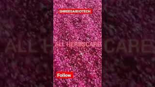 Download Lagu #yotub1000 #powder #ross #rossa #natural #herbalifenutrition #manufacturing MP3