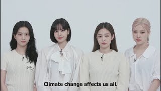 Calling All Blinks Climate Action In Your Area