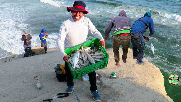 Carnada Muy Muy - La Mejor Carnada Para Pescar 