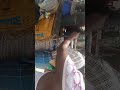50KG BLACK JAGGERY (NALLA BELLAM) DELIVERED TO CHAKiCHERLA GOSHALA ON 09 JUN 25 BY HELP OF DONORS