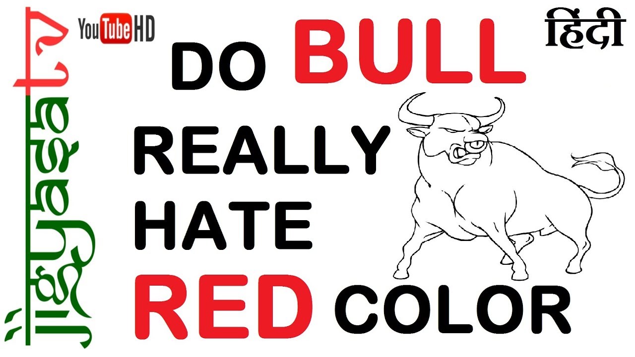  do bulls really
