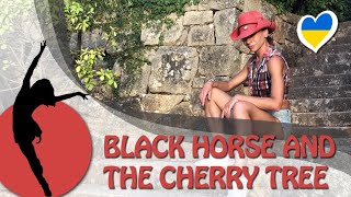 BLACK HORSE AND THE CHERRY TREE | Zumba choreo | TaNa Zumba