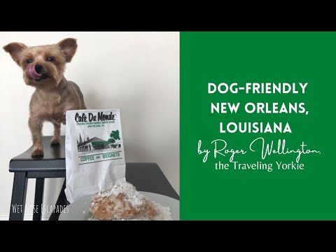 12 1 Best Dog Friendly Restaurants In