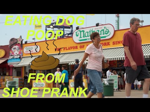 eating-dog-poop-from-shoe-prank