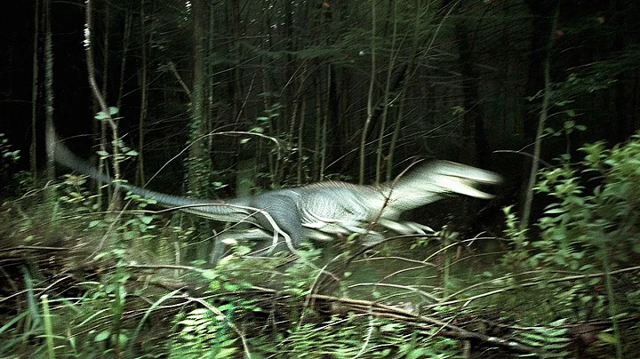 10 Dinosaurs Caught on Camera in Real Life - DayDayNews