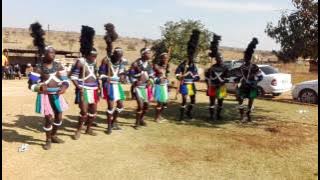 Amasokana Amasha, Masinya #Kwamhlanga