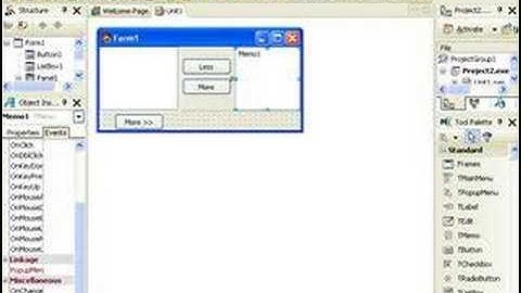 Delphi Programming Tutorial #16 - Autosize property