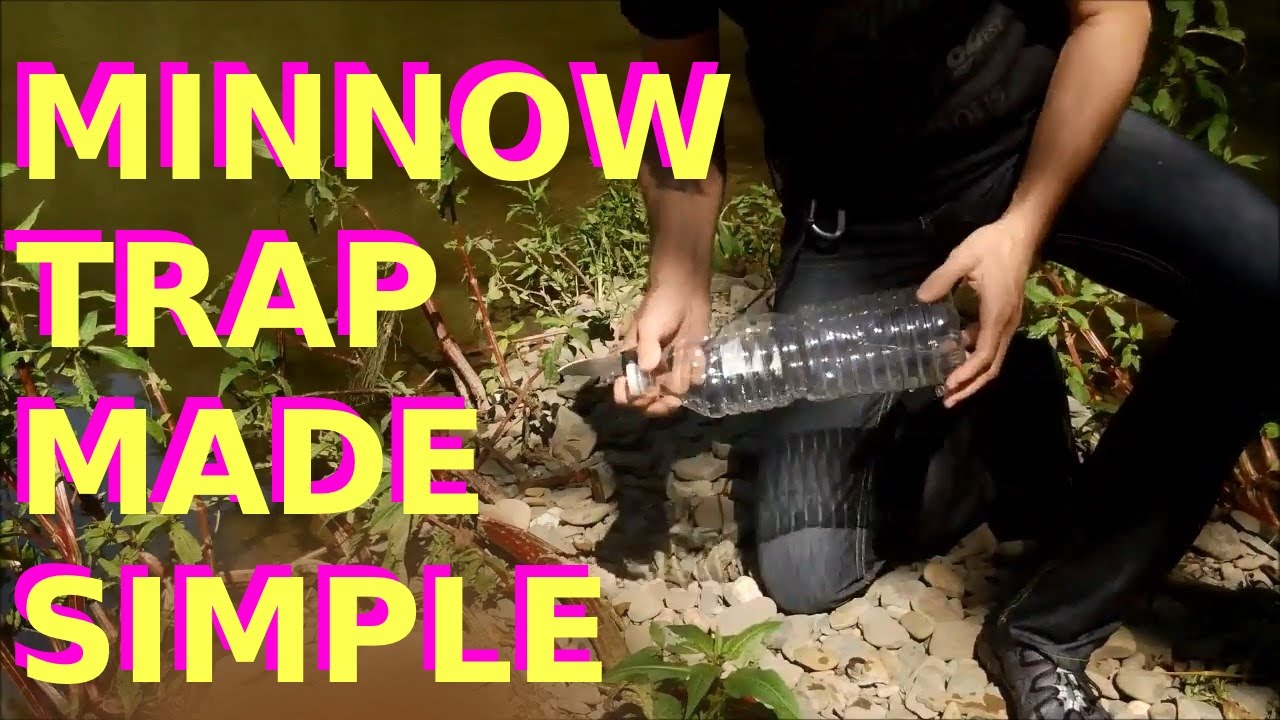 Minnow Trap - Extremely Simple - Fishing Life Hack