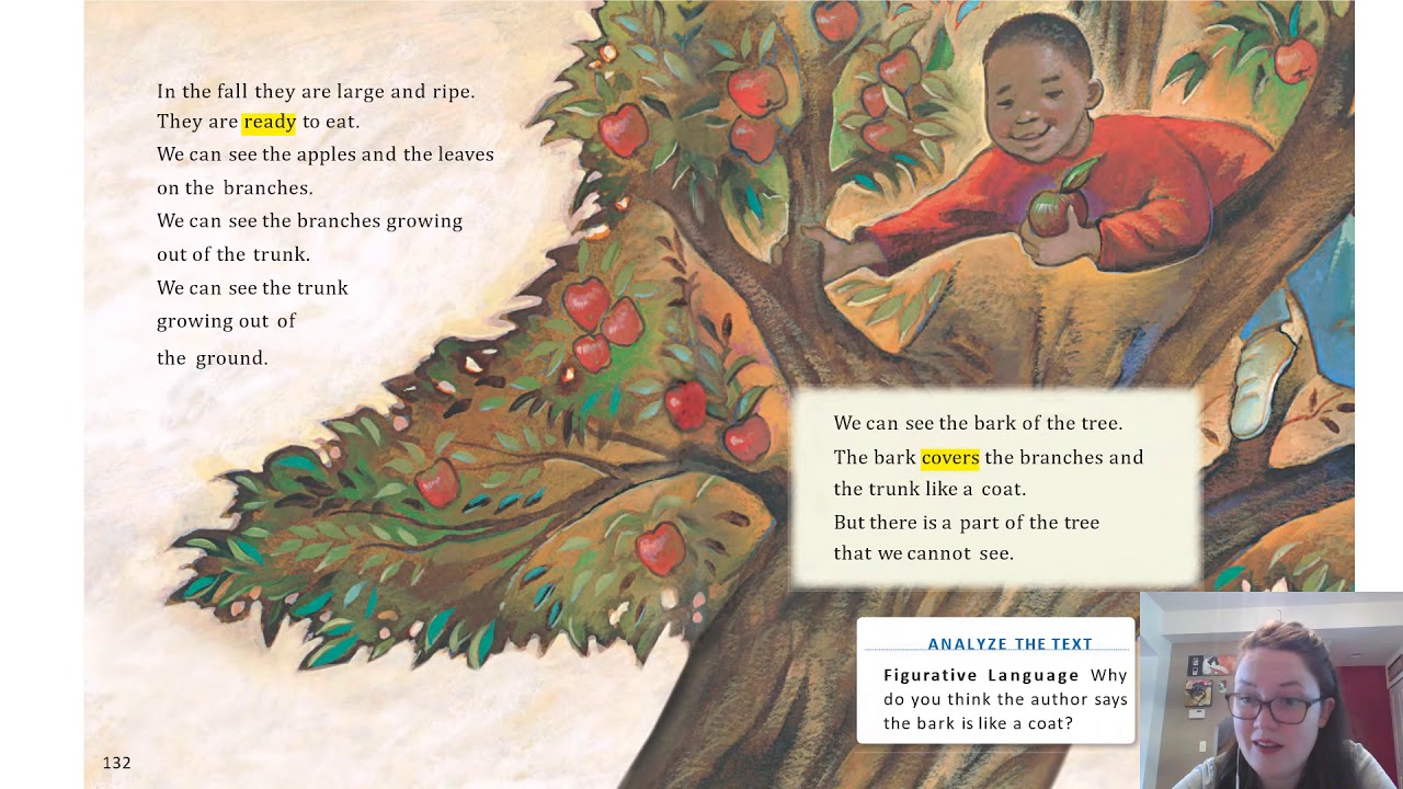 A Tree is A Plant Read Aloud YouTube