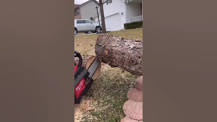 Power to Cut Hardwoods. M18 FUEL™ 14" Top Handle Chainsaw. 🎥:@reonrounds
