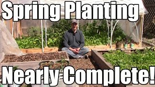 Starting Squash & Cucumbers Early & All Cool Weather Crops Planted! (4/16 - Zone 5)