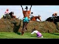 Animal Fails of the Week 1 February 2016 - Animal Fail Videos - Animal Fails Compilation 2016