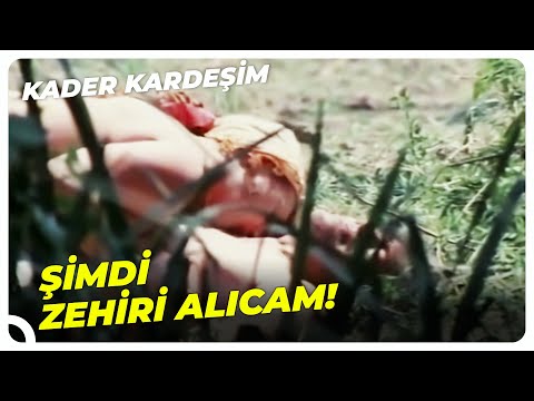 Kader Arkadaşı - Göl Kıyısında Yusuf'a Sahip Oldu! | Cüneyt Arkın Eski Türk Filmi