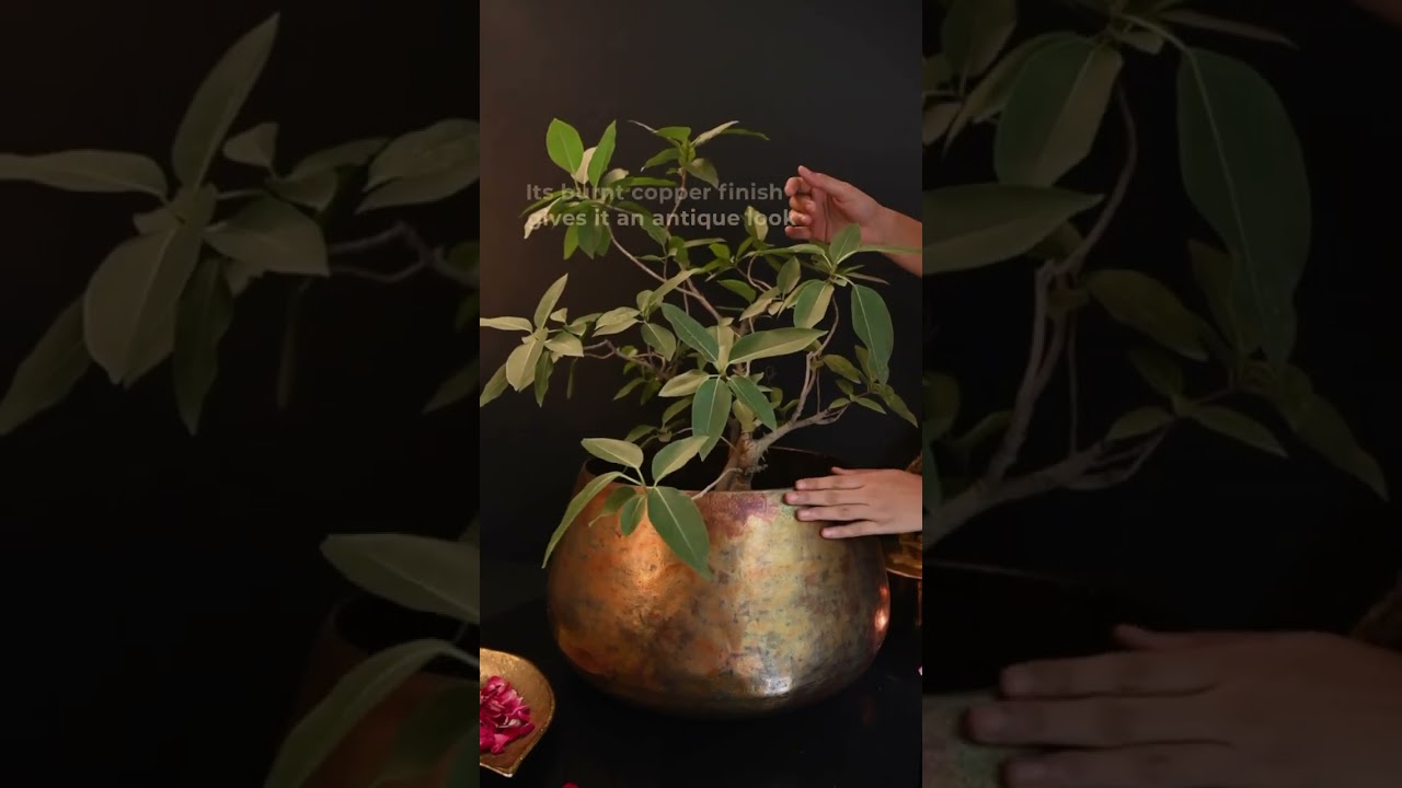 Large Copper Planter 