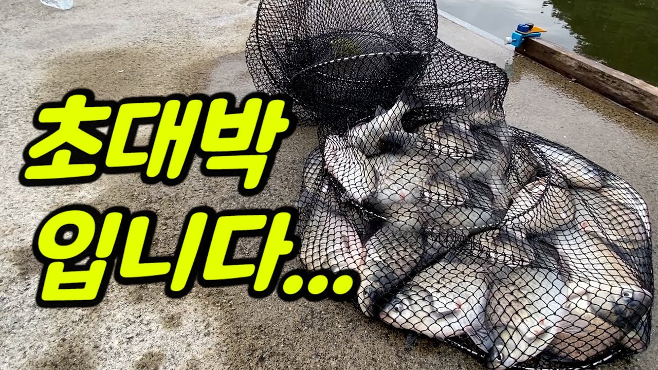 For Real? How many carps in here!