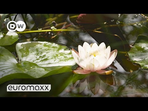 Garden of Paradise on Earth | Blooming Inspirations | Chaumont-sur-Loire, France - Euromaxx